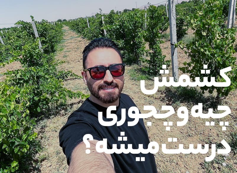 https://storage.paprikaa.ir/yarbod/BlogPosts-09b5c899-de90-49b0-a862-6c63aac79bc0.webp