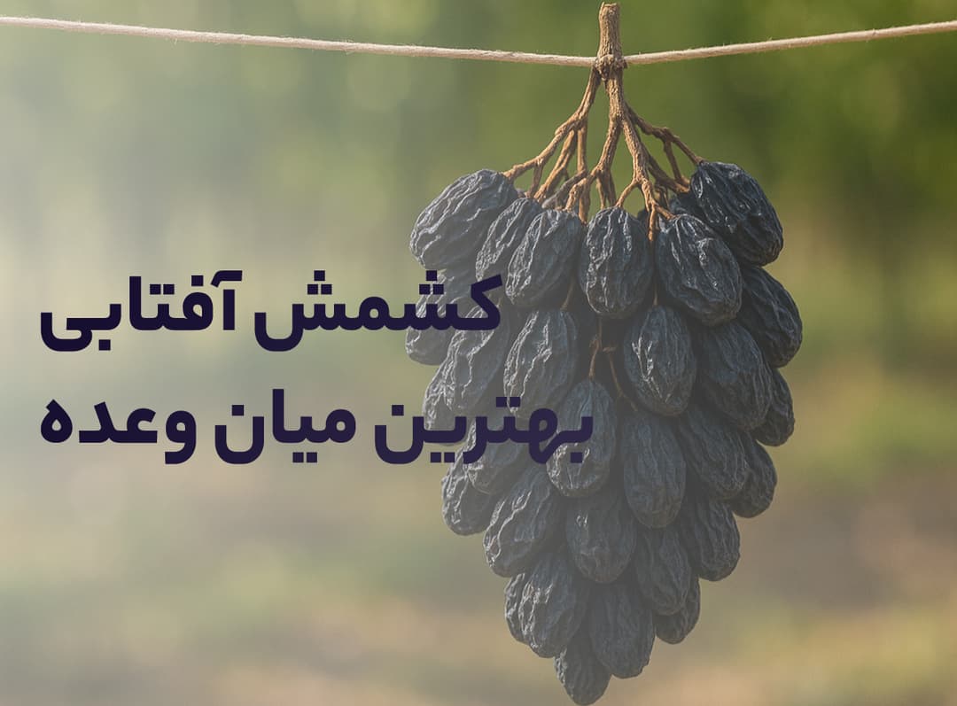 https://storage.paprikaa.ir/yarbod/BlogPosts-1ad340d6-8292-4eb6-b0e3-3cfcc30bdb38.webp